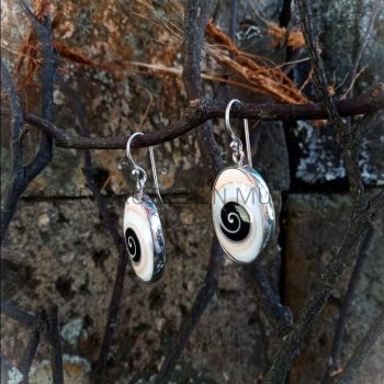 PL-ER009-Oval Shiva Shell Earrings