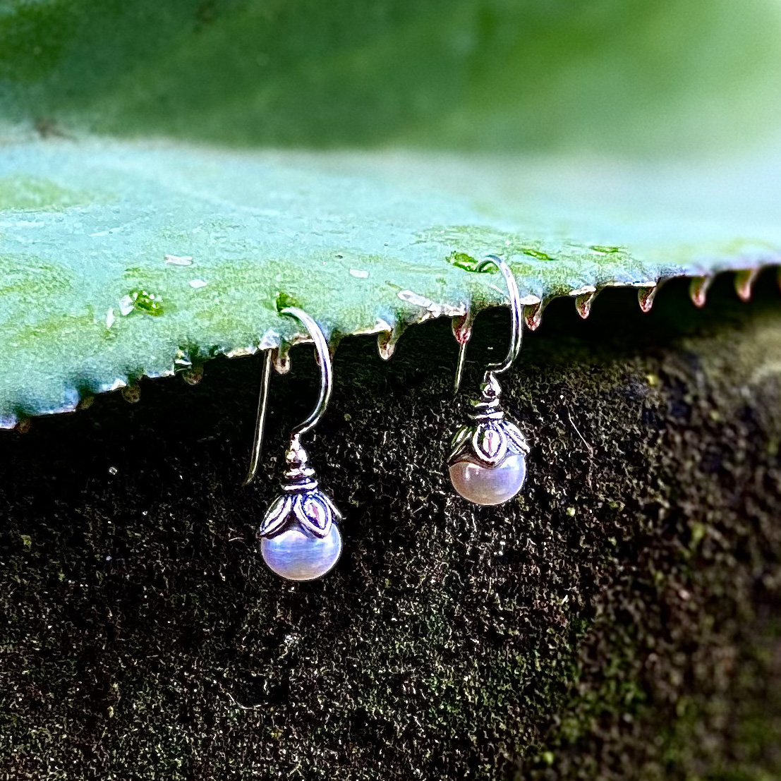 NY-ER168-Tiny Earrings With Pearl