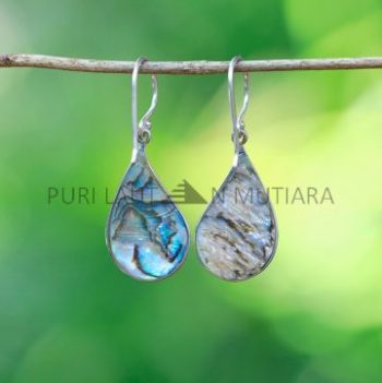 IER039-Sterling Silver Dragonfly Abalone Teardrop Earrings