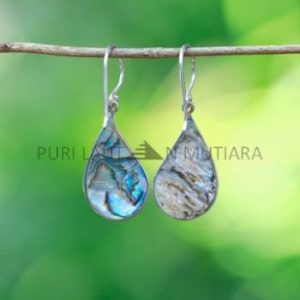 IER039-Sterling Silver Dragonfly Abalone Teardrop Earrings