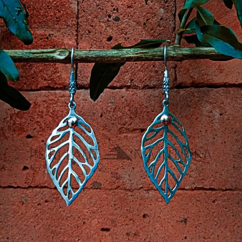 NY-ER097-Silver And Gold Earrings