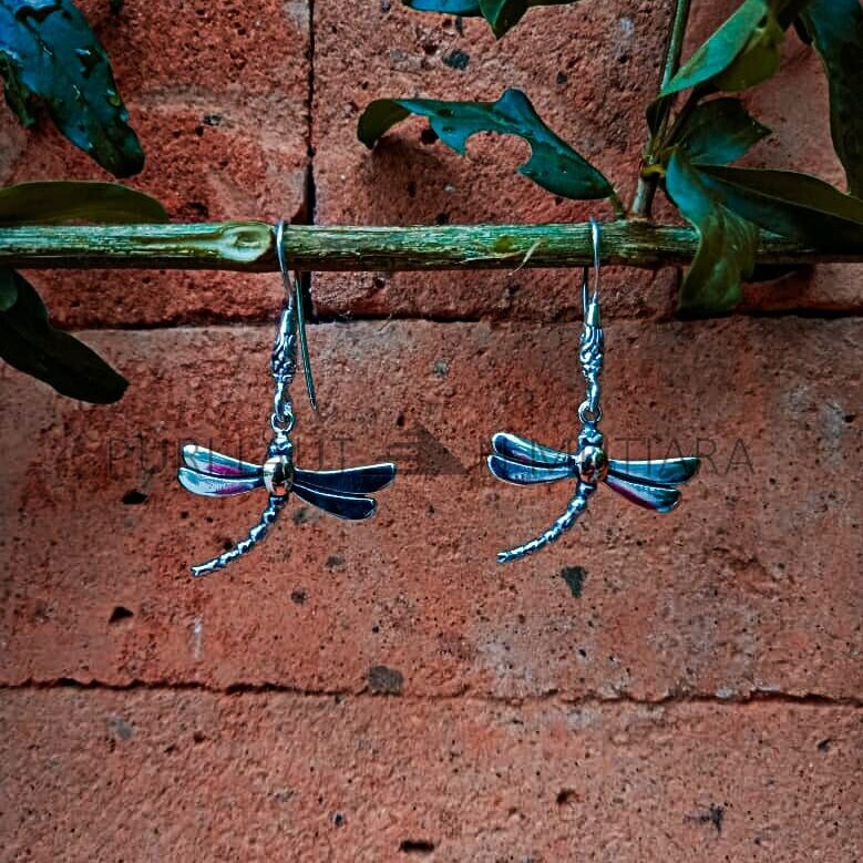 NY-ER100-Silver And Gold Earrings